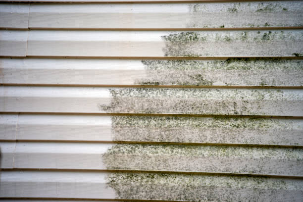 Best Storm Damage Siding Repair  in East Hazel Crest, IL