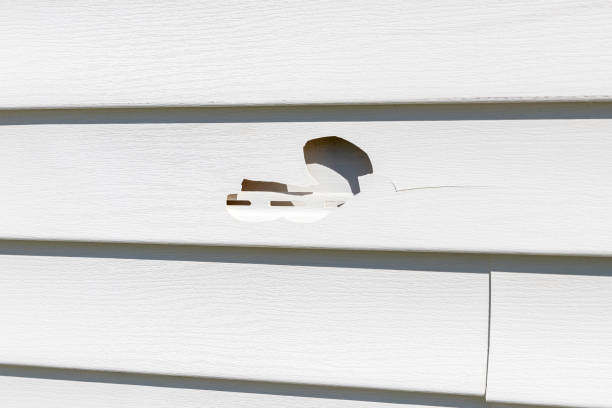 How To Choose The Right Materials for Your Siding Installation in 'East Hazel Crest, IL