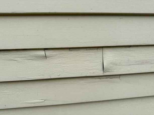 East Hazel Crest, IL Siding Services Company